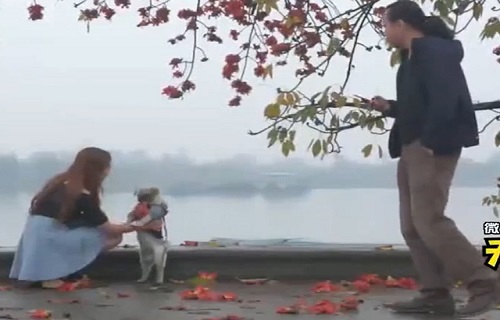 Anh chàng quyết sắm thú cưng để tán gái không ngờ bị "sập bẫy"