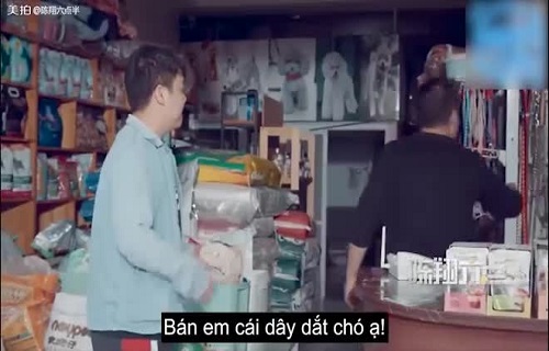 Phải thể hiện uy quyền ai mới là chủ trong nhà nhé!