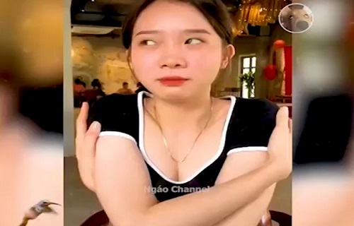Những "cú lừa" bá đạo khiến bao người phải ngỡ ngàng