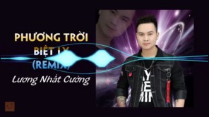 Phương trời ly biệt Remix - Dương Nhất Cường