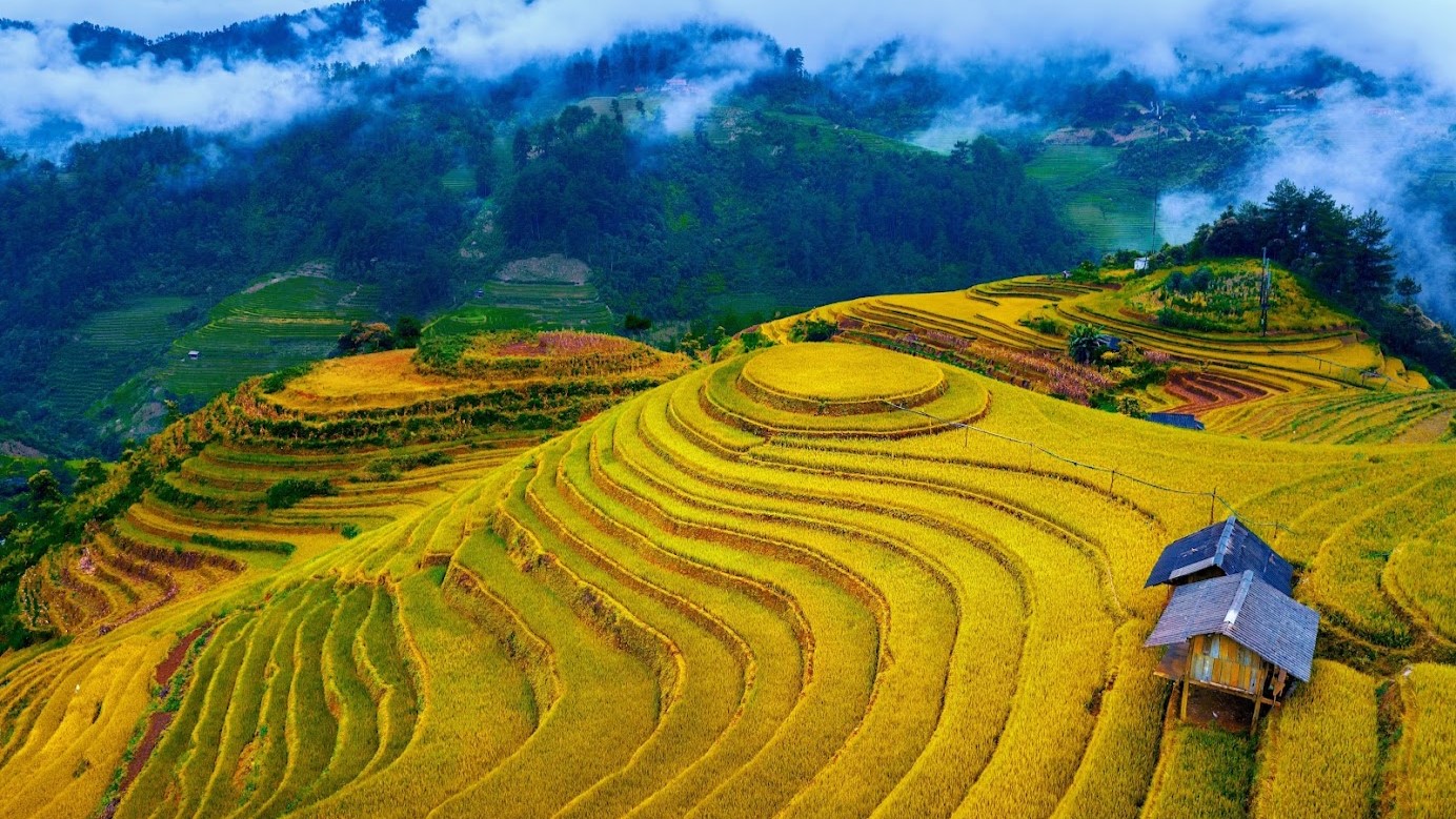 Thiên Đường Mù Cang Chải