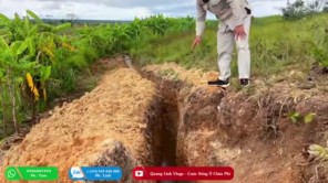 Hành Trinh Tìm Kiếm Vàng Trắng Và Cái Kết (phần 17)