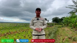 Hành Trinh Tìm Kiếm Vàng Trắng Và Cái Kết (phần 23)