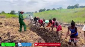 Người Dân Bản Háo Hức Trong Ngày Đầu Thực Hiện Ước Mơ Lúa Gạo (phần 6)