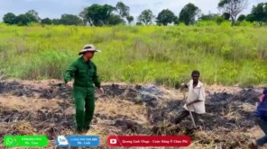 Người Dân Bản Háo Hức Trong Ngày Đầu Thực Hiện Ước Mơ Lúa Gạo (phần 7)