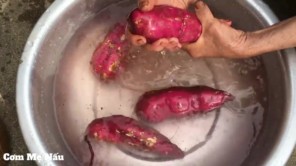 Mẹ thu hoạch khoai về làm khoai lang kén thơm ngon nức mũi P1