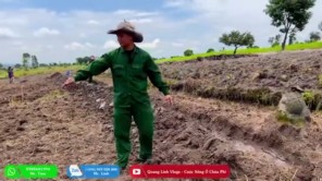 Người Dân Bản Háo Hức Trong Ngày Đầu Thực Hiện Ước Mơ Lúa Gạo (phần 10)