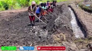 Người Dân Bản Háo Hức Trong Ngày Đầu Thực Hiện Ước Mơ Lúa Gạo (phần 14)