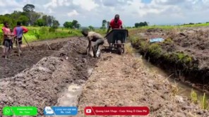 Người Dân Bản Háo Hức Trong Ngày Đầu Thực Hiện Ước Mơ Lúa Gạo (phần 15)