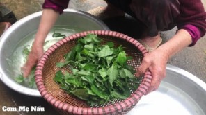 Cơm Mẹ Nấu - Rau lầu lầu là món ăn đặc sản Quê Hương Của Mẹ P3