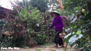 Mẹ thu hoạch Quả Cọ Về Ỏm Ăn Ngọt Bùi Béo Ngậy P2