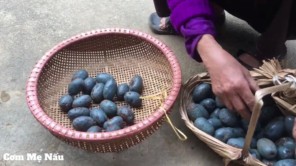Mẹ thu hoạch Quả Cọ Về Ỏm Ăn Ngọt Bùi Béo Ngậy P3