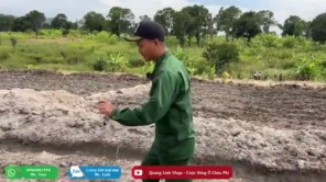 Dần Hoàn Thiện Quy Hoạch Của Nông Trại Mới (phần 6)
