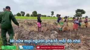 Dần Hoàn Thiện Quy Hoạch Của Nông Trại Mới (phần 5)