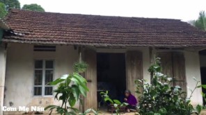 Mẹ thu hoạch Quả Cọ Về Ỏm Ăn Ngọt Bùi Béo Ngậy P8