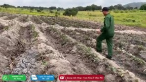 Dần Hoàn Thiện Quy Hoạch Của Nông Trại Mới (phần 8)