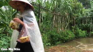 Cơm đỏ cơm đen món ngon mẹ làm thấm đậm tình quê P1