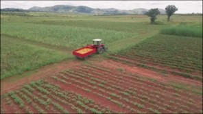 Hàng Tấn Lương Thực Được Mang Về Nông Trại Quang Linh Farm (phần 3)