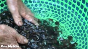 Canh sắn nấu ốc đậm đà hương vị quê hương P1