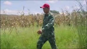 Hàng Tấn Lương Thực Được Mang Về Nông Trại Quang Linh Farm (phần 7)