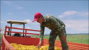 Hàng Tấn Lương Thực Được Mang Về Nông Trại Quang Linh Farm (phần 10)