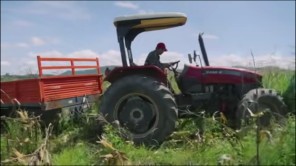 Hàng Tấn Lương Thực Được Mang Về Nông Trại Quang Linh Farm (phần 12)
