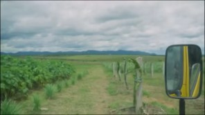 Hàng Tấn Lương Thực Được Mang Về Nông Trại Quang Linh Farm (phần 17)