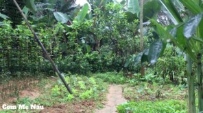 Vịt hầm bia là món ăn thơm ngon Mẹ làm ngày đầu xuân P1