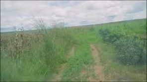 Hàng Tấn Lương Thực Được Mang Về Nông Trại Quang Linh Farm (phần 18)