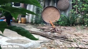 Tôm đồng rang với măng mai món quê mẹ làm P2
