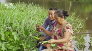 Canh Chua Lá Giấm Cá Rô Đồng