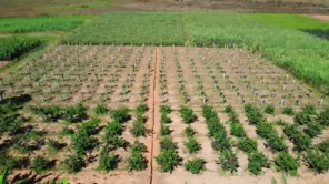 Sự Chuẩn Bị Kĩ Lưỡng Cho - Mùa Hạn Kéo Dài- Trong Thời Gian Tới (phần 6)