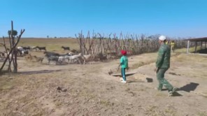 Tình Hình Chăn Nuôi Tại Quang Linh Farm Vào Mùa Khô - Có Như Lời Đồn (phần 2)