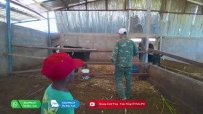 Tình Hình Chăn Nuôi Tại Quang Linh Farm Vào Mùa Khô - Có Như Lời Đồn (phần 3)