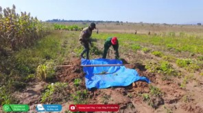 Món Ăn Lạ Xuất Hiện Tại Quang Linh Farm - Ai Cũng Bất Ngờ Với Cách Ăn
