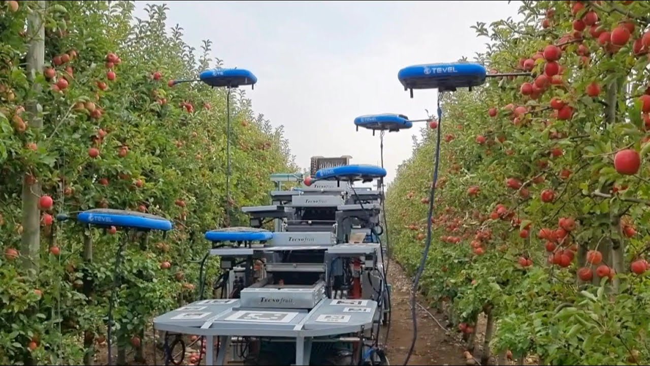 Công nghệ nông nghiệp của Israel