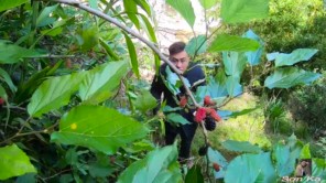 ĐẶC SẢN DÂU TẰM ĐÀ LẠT - MÓN NGON VÀ DỄ LÀM